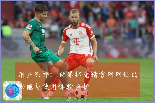 用户测评：世界杯竞猜官网网址的功能与使用体验分析