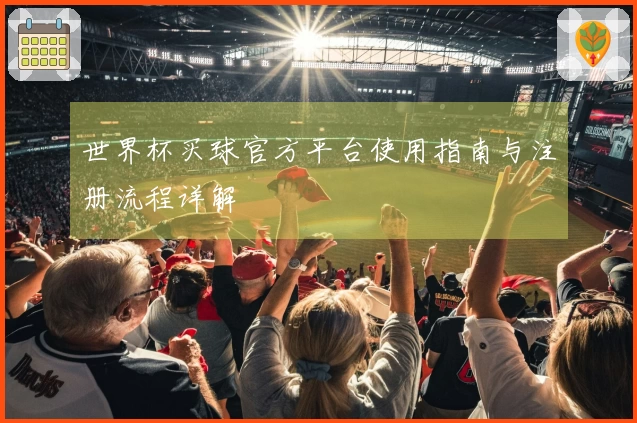 世界杯买球官方平台使用指南与注册流程详解