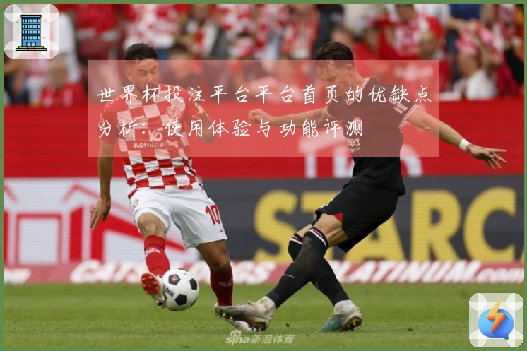 世界杯投注平台平台首页的优缺点分析：使用体验与功能评测