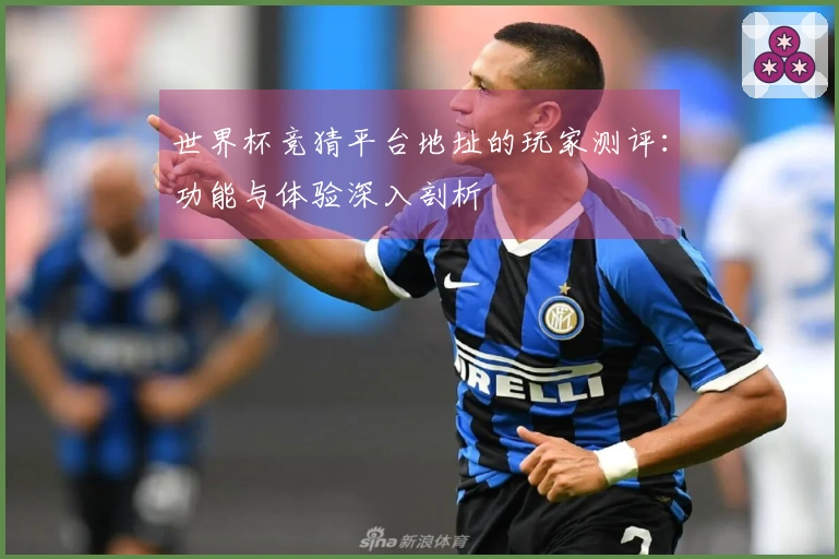 世界杯竞猜平台地址的玩家测评：功能与体验深入剖析