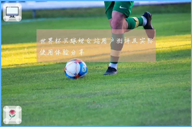 世界杯买球综合站用户测评及实际使用体验分享