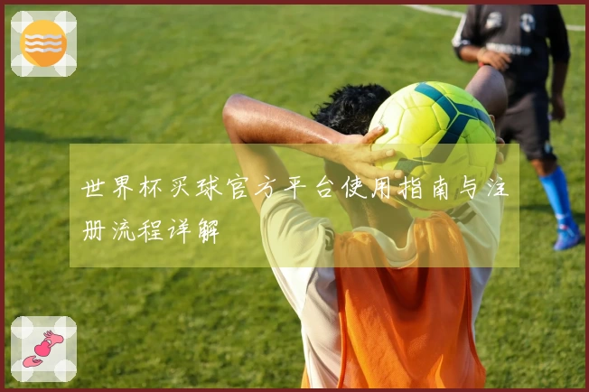 世界杯买球官方平台使用指南与注册流程详解