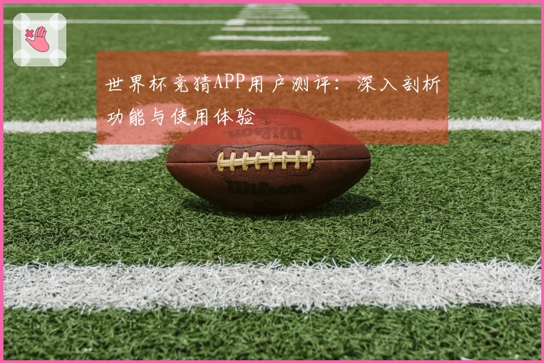 世界杯竞猜APP用户测评：深入剖析功能与使用体验