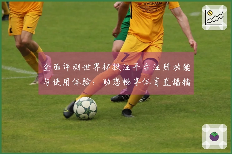 全面评测世界杯投注平台注册功能与使用体验，助您畅享体育直播精彩内容