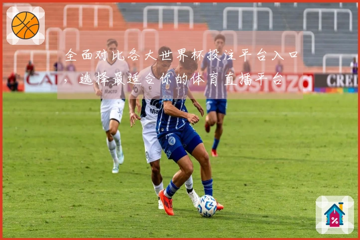 全面对比各大世界杯投注平台入口，选择最适合你的体育直播平台