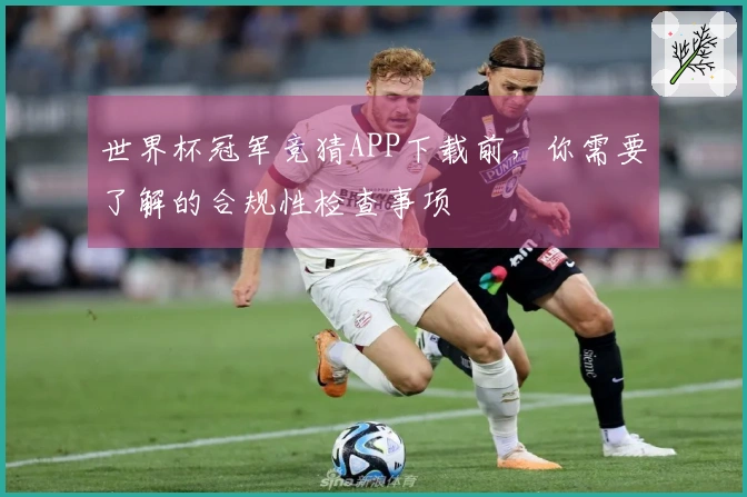 世界杯冠军竞猜APP下载前，你需要了解的合规性检查事项