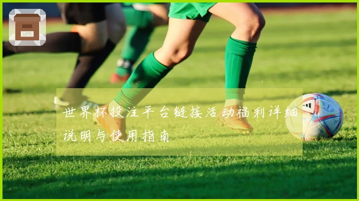 世界杯投注平台链接活动福利详细说明与使用指南