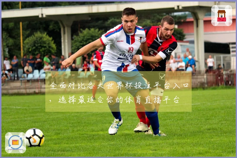 全面对比各大世界杯投注平台入口，选择最适合你的体育直播平台
