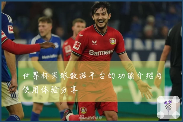 世界杯买球数据平台的功能介绍与使用体验分享