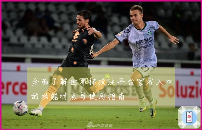 全面了解世界杯投注平台官方入口的功能特点与使用指南