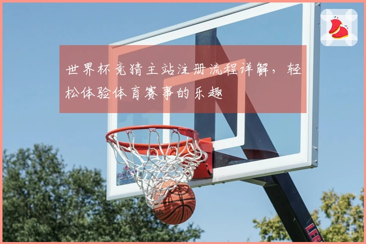 世界杯竞猜主站注册流程详解，轻松体验体育赛事的乐趣