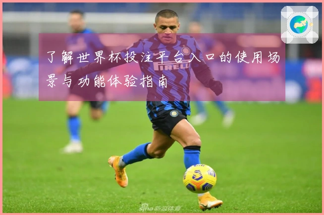 了解世界杯投注平台入口的使用场景与功能体验指南