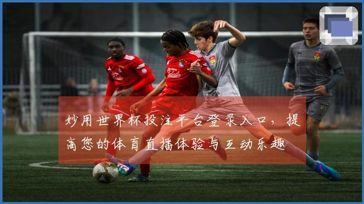 妙用世界杯投注平台登录入口，提高您的体育直播体验与互动乐趣