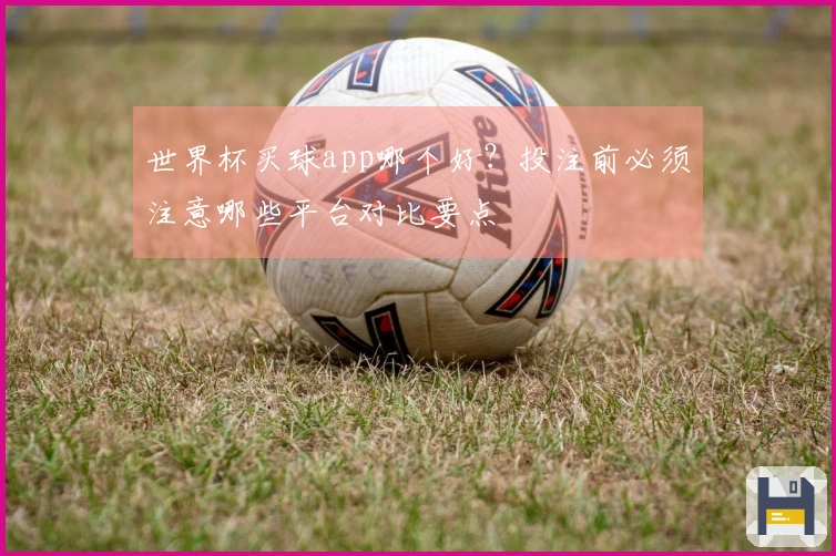 世界杯买球app哪个好？投注前必须注意哪些平台对比要点