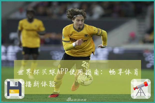 世界杯买球APP使用指南：畅享体育直播新体验