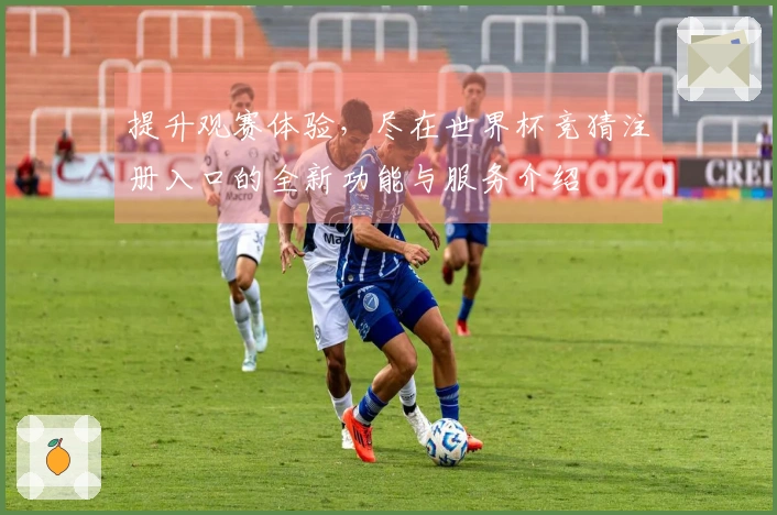 提升观赛体验，尽在世界杯竞猜注册入口的全新功能与服务介绍