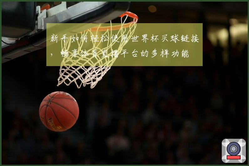 新手如何轻松使用世界杯买球链接，畅享体育直播平台的多样功能