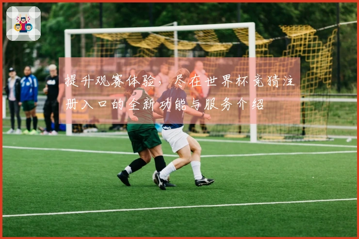 提升观赛体验，尽在世界杯竞猜注册入口的全新功能与服务介绍